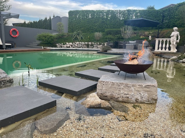 Naturpool in Haag