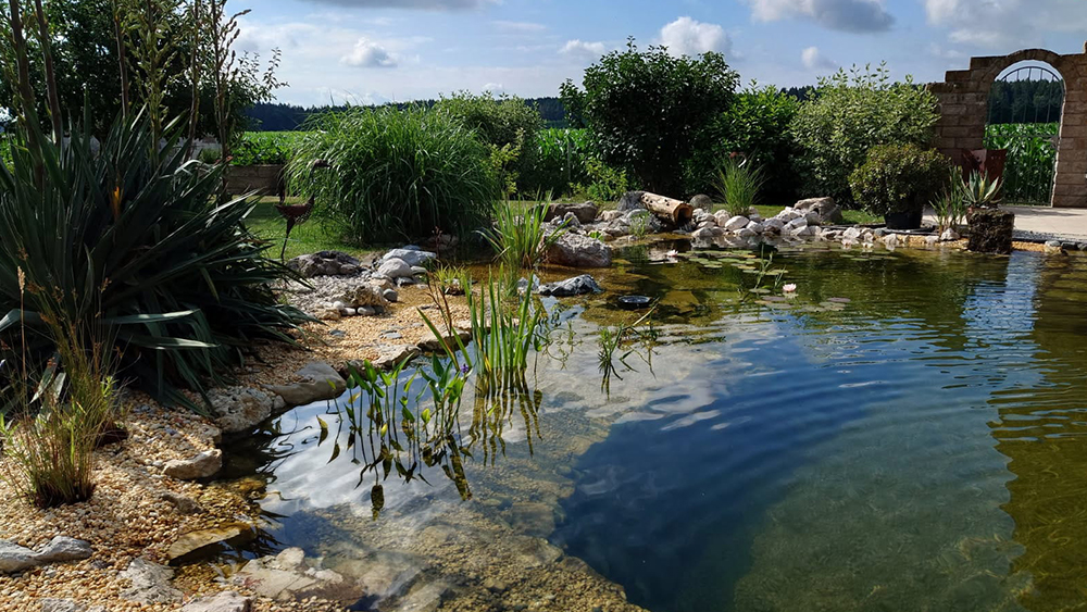  Teichbau