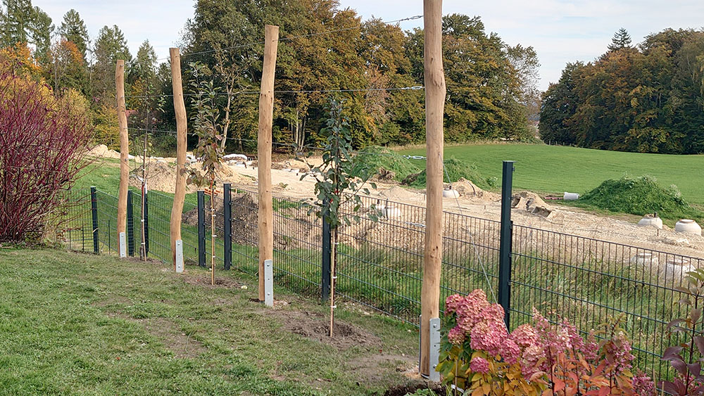 Bepflanzung Neuanlage