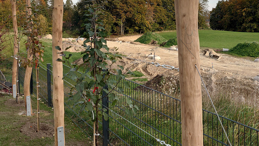 Bepflanzung Neuanlage