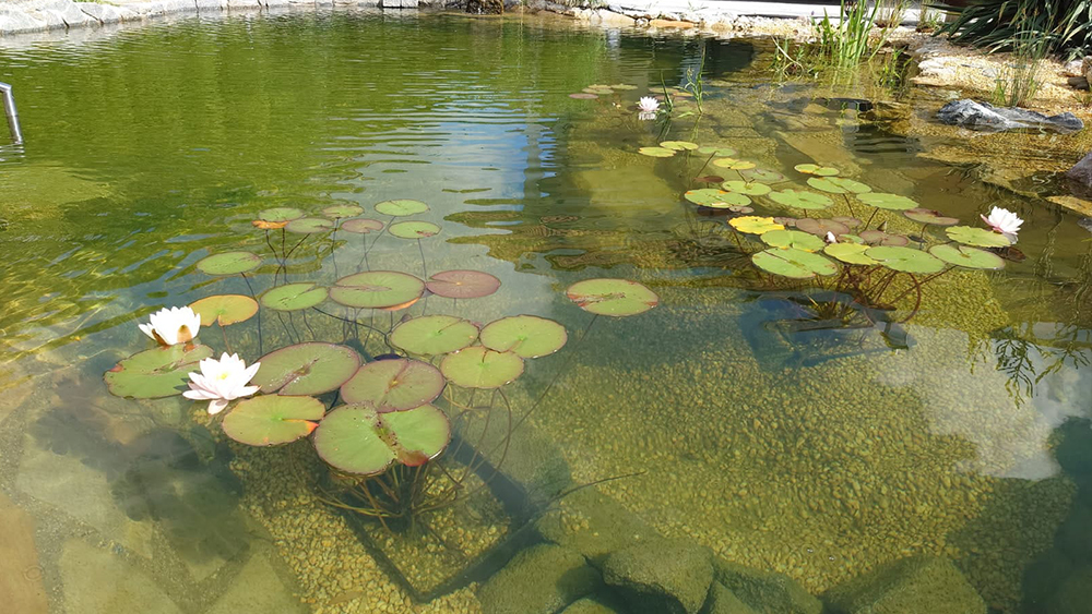  Teichbau