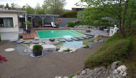 Naturpool in Haag