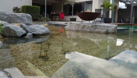Naturpool in Haag