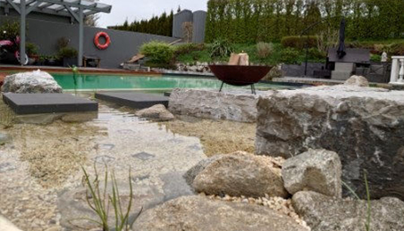 Naturpool in Haag