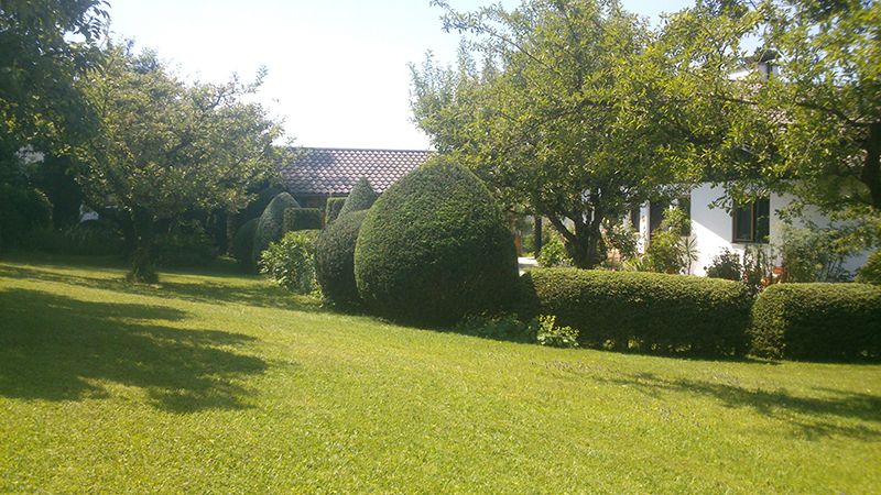 Pflege in Riedering