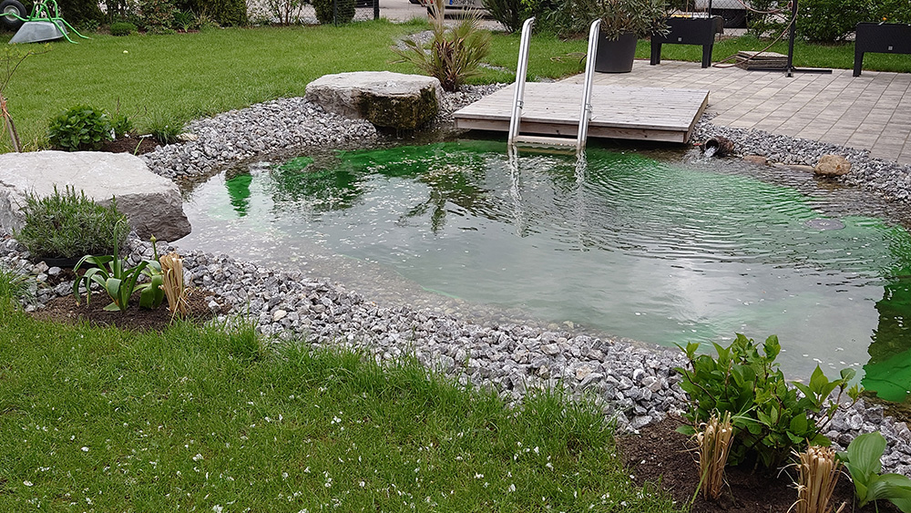  Teichbau