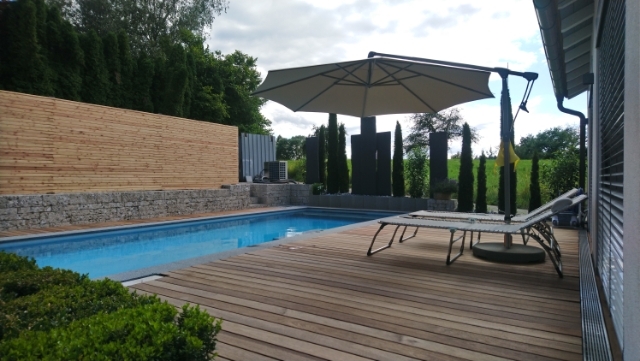 Naturpool in Haag