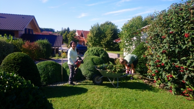 Formschnitt nähe Wasserburg